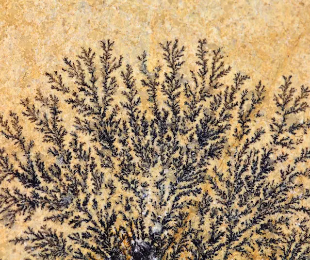 Electric Health How Ancient Wisdom is Aligning with Modern Science